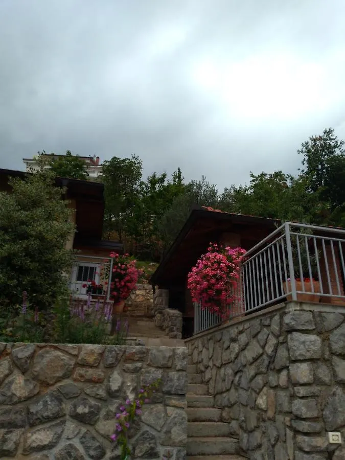 Amazing View Kvarner Bay Lovran Croatia